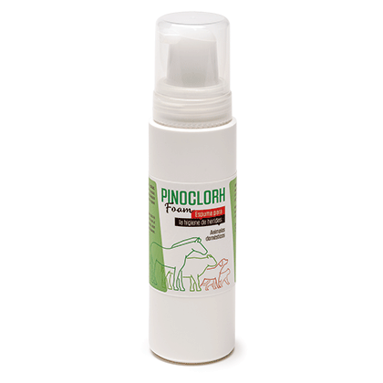 PINOCLORH FOAM ESPUMA 250 ml.